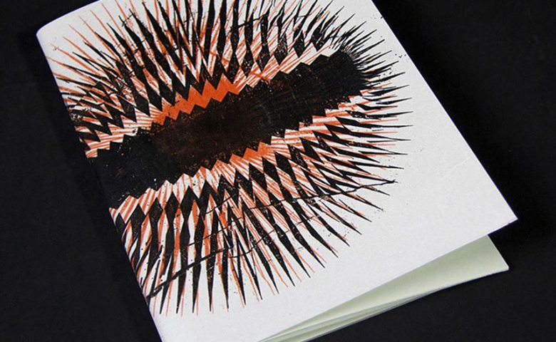 studio topo serigraphie carnet lyon copie
