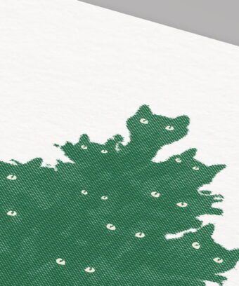 Studio topo sapin vert