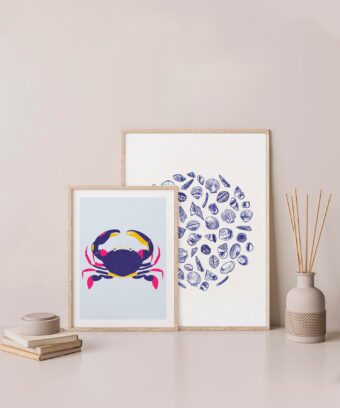 Topo affiche Coquillages Topo affiche Coquillages