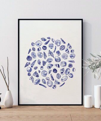 Topo affiche Coquillages