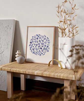 Topo affiche Coquillages