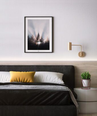 belle affiche photo sapin belle affiche photo sapin
