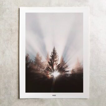 belle affiche photo sapin