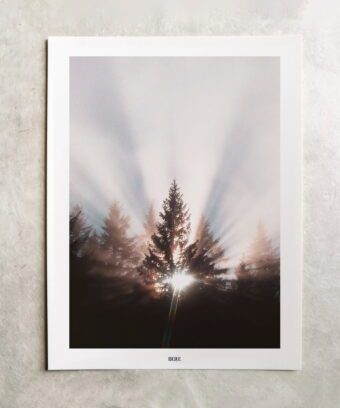 belle affiche photo sapin