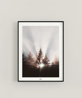 belle affiche photo sapin