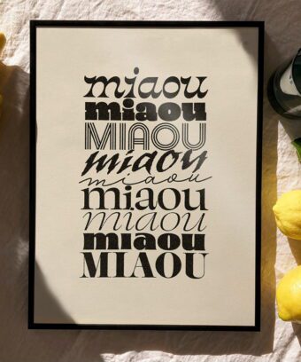 studio topo miaou