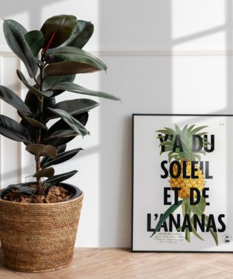 affiche jeu de mot fruit legume