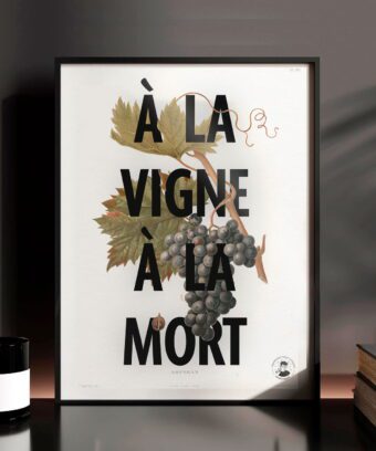 affiche jeu de mot fruit legume