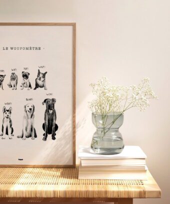 Topo affiche WOUF Topo affiche WOUF