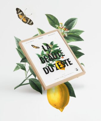 la beaute du zeste pub