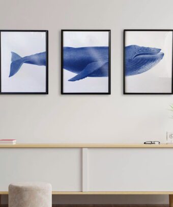 studio topo baleine trio d affiches