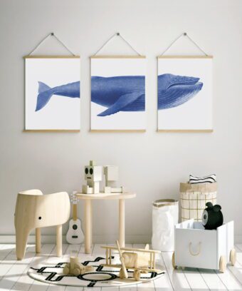 studio topo baleine trio d affiches