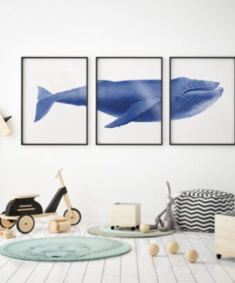 studio topo baleine trio d affiches