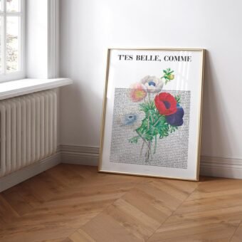 t es belle comme anémones t es belle comme anémones