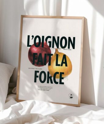 affiche l oignon fait la force botanique affiche l oignon fait la force botanique
