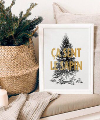 Studio topo Ca sent le sapin