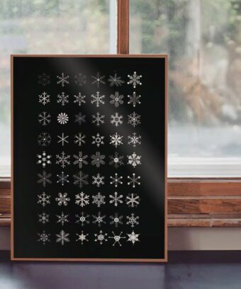 studio topo Flocons studio topo Flocons