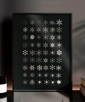 studio topo Flocons