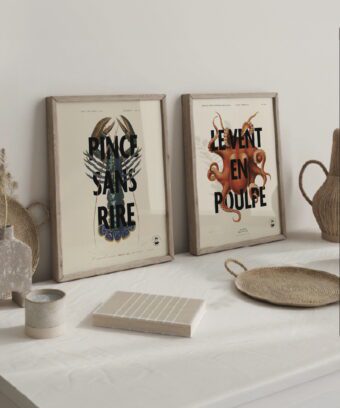 studio topo Pince sans rire