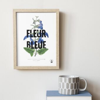 studio topo fleur bleue studio topo fleur bleue
