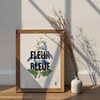 studio topo fleur bleue studio topo fleur bleue