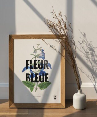 studio topo fleur bleue