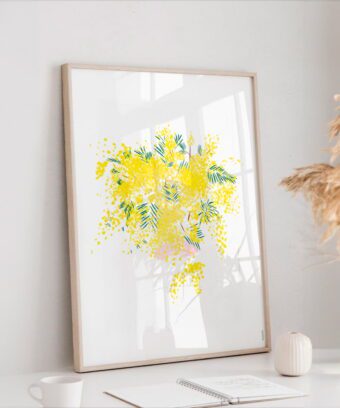 studio topo illustration mimosa