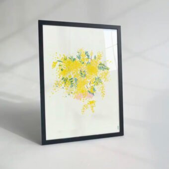 studio topo illustration mimosa studio topo illustration mimosa