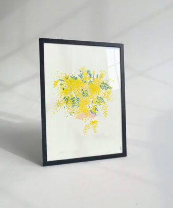 studio topo illustration mimosa