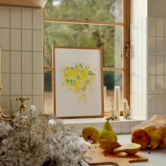 studio topo illustration mimosa studio topo illustration mimosa