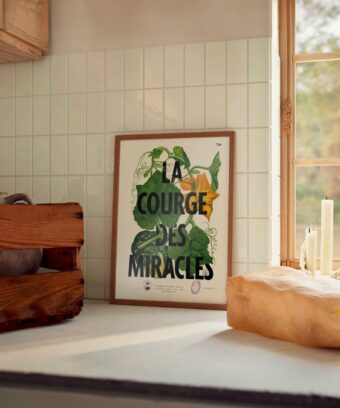 studio topo la courge des miracles