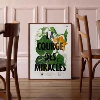 studio topo la courge des miracles
