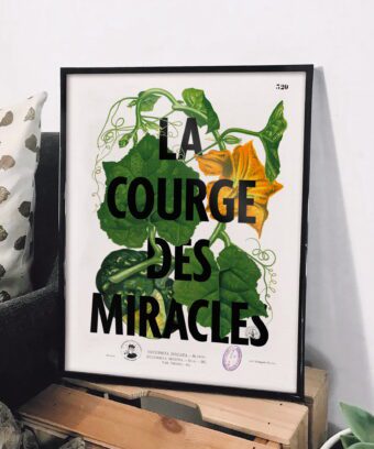 studio topo la courge des miracles