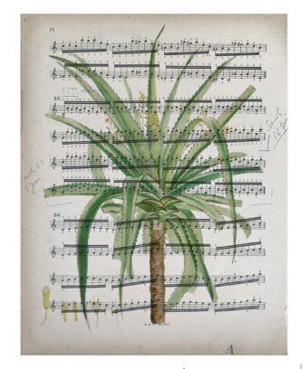 partition Aloe