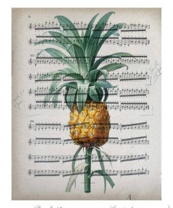 partition Ananas