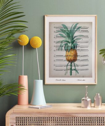 partition Ananas studio topo