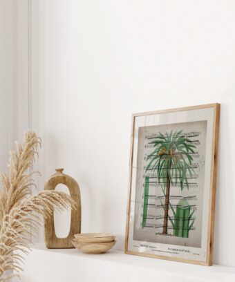 partition Palmier studio topo