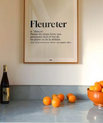 studio topo Definition Fleureter