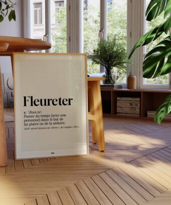 studio topo Definition Fleureter