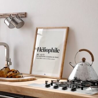 studio topo Dico Heliophile