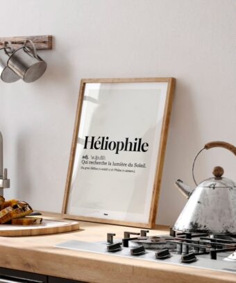 studio topo Dico Heliophile