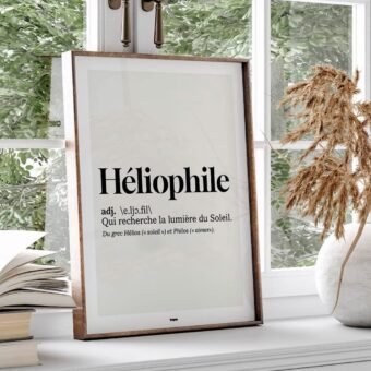 studio topo Dico Heliophile