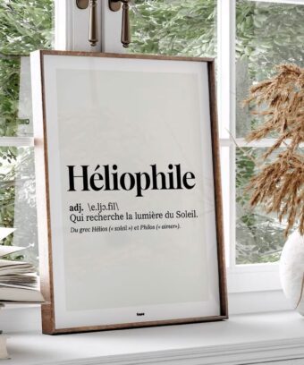 studio topo Dico Heliophile