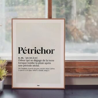 studio topo Dico Petrichor