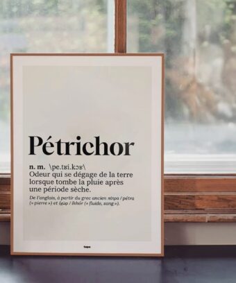 studio topo Dico Petrichor
