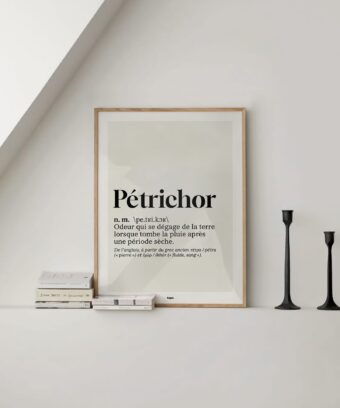 studio topo Dico Petrichor