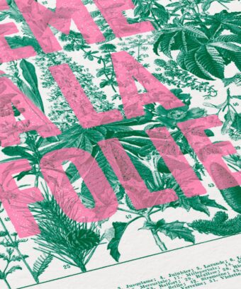 affiche studio topo On sème à la folie