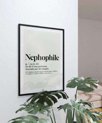 studio topo Definition Nephophile