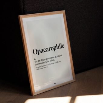 studio topo Definition Opacarophile