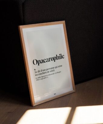studio topo Definition Opacarophile